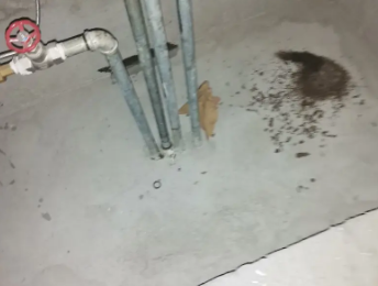 弓长岭卫生间测漏水价格明细